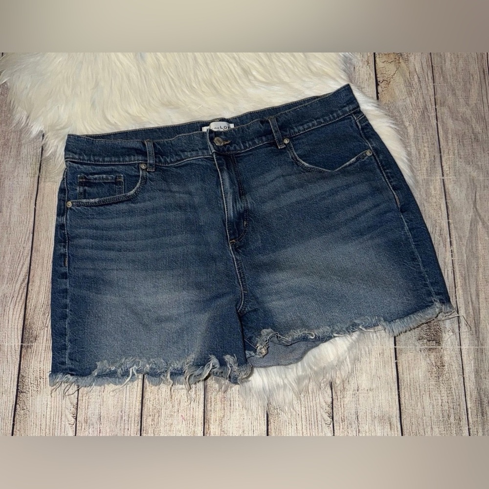 LOFT women’s denim shorts size 32/14
